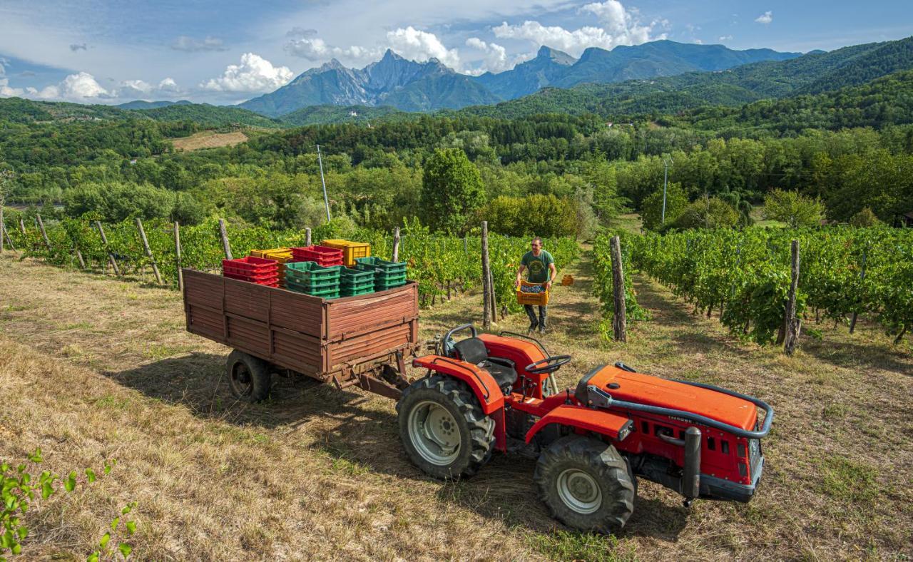 Agriturismo Il Bardellino Фивиццано Экстерьер фото