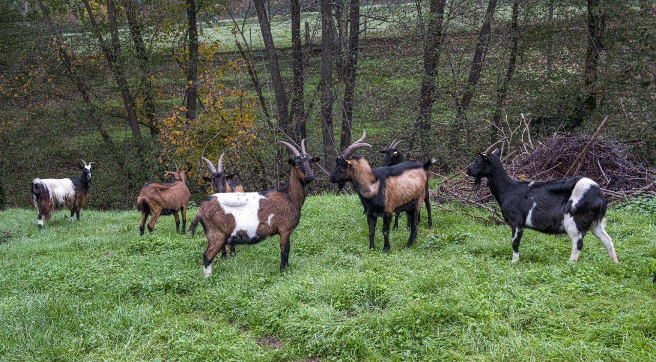 Agriturismo Il Bardellino Фивиццано Экстерьер фото