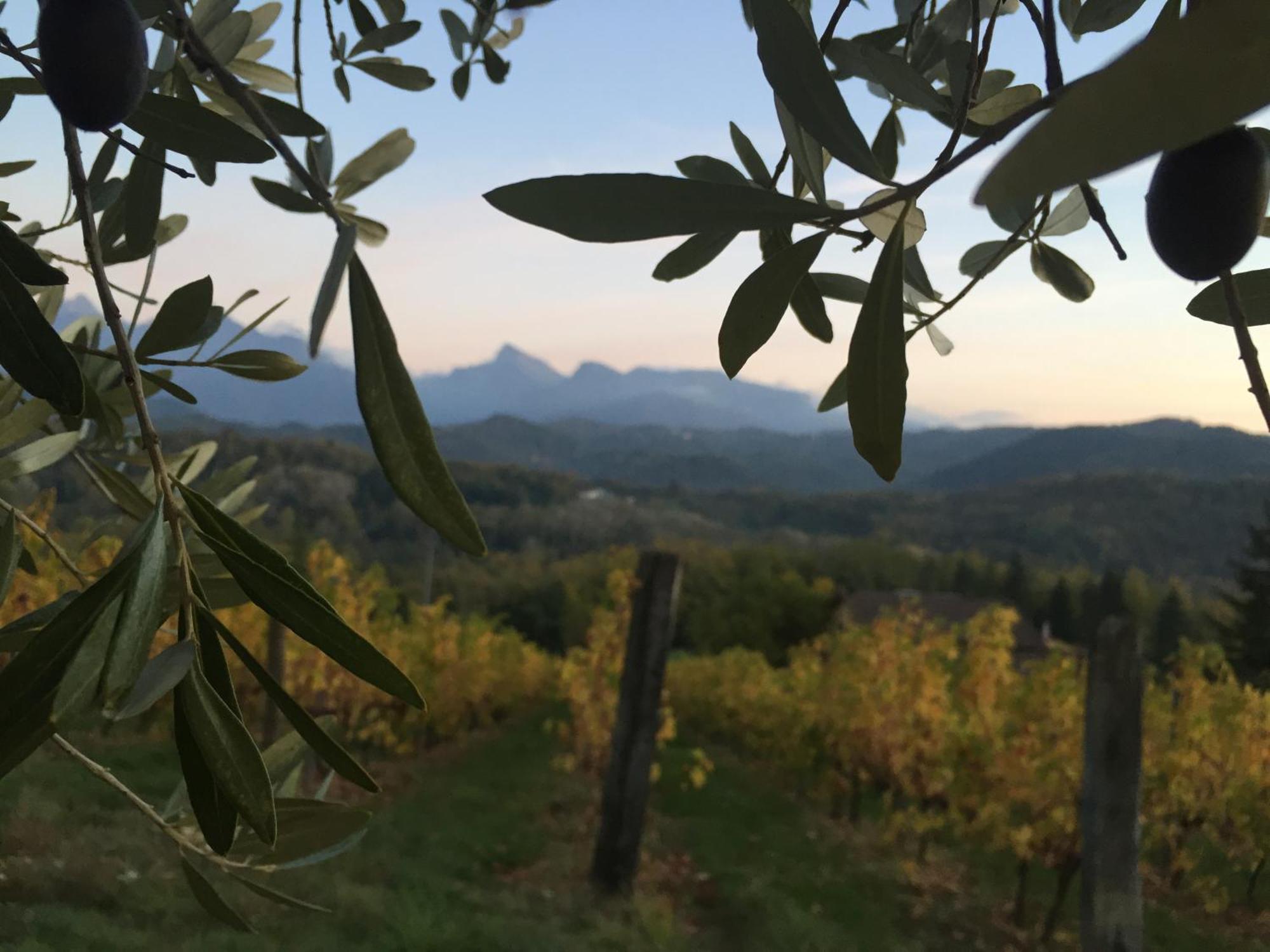 Agriturismo Il Bardellino Фивиццано Экстерьер фото