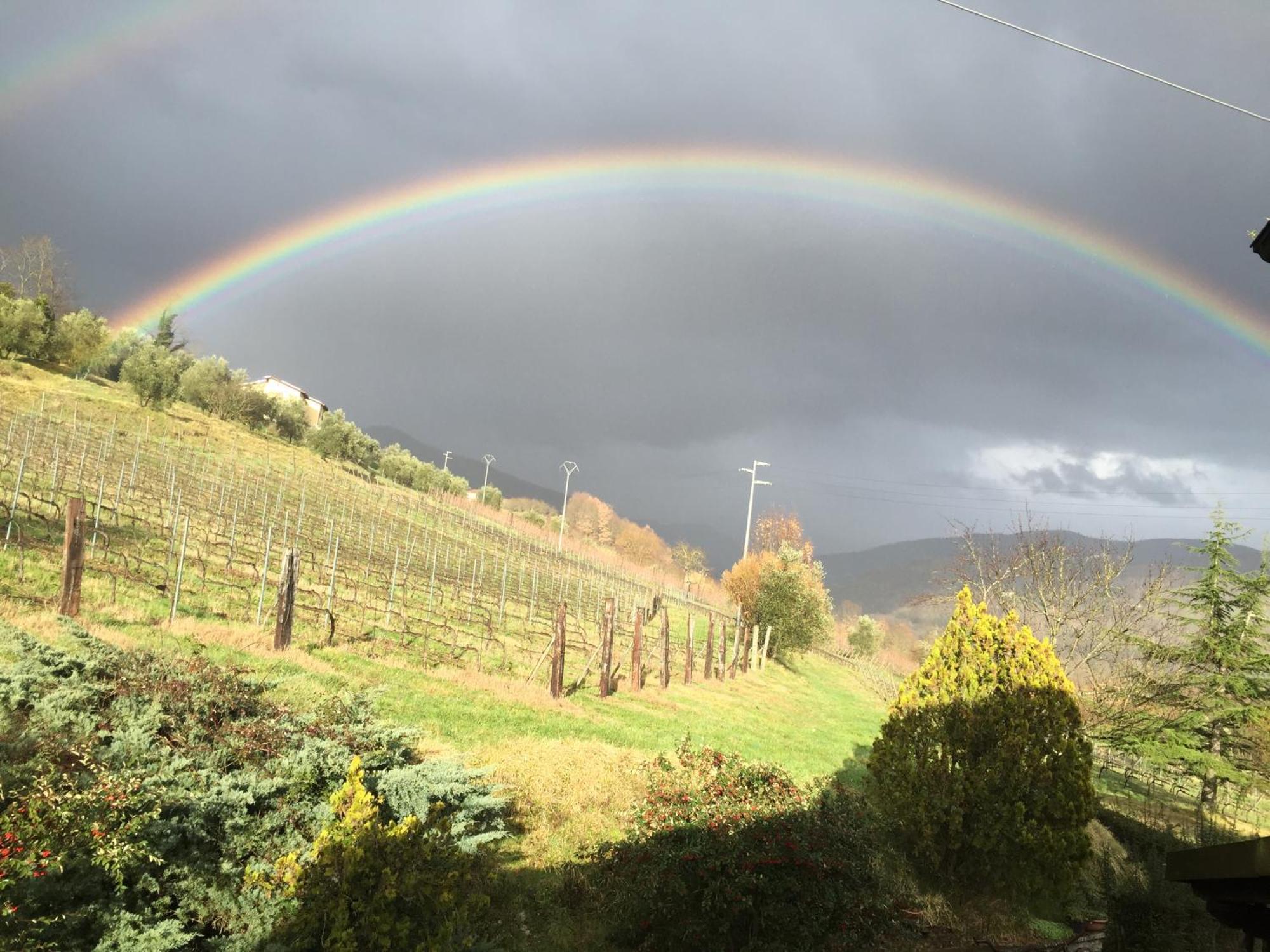 Agriturismo Il Bardellino Фивиццано Экстерьер фото